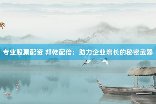 专业股票配资 邦乾配倍：助力企业增长的秘密武器