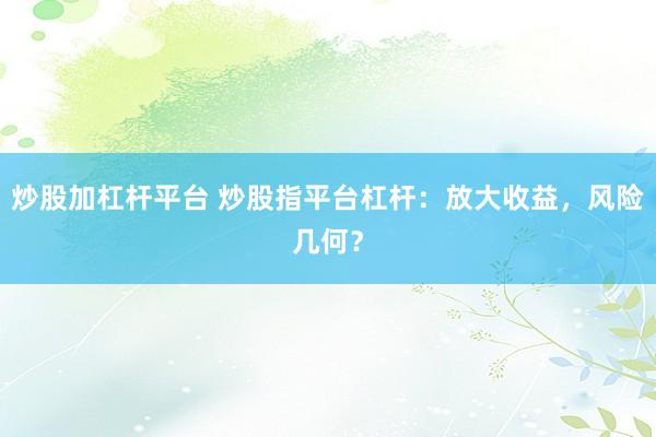 炒股加杠杆平台 炒股指平台杠杆：放大收益，风险几何？