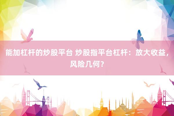 能加杠杆的炒股平台 炒股指平台杠杆：放大收益，风险几何？