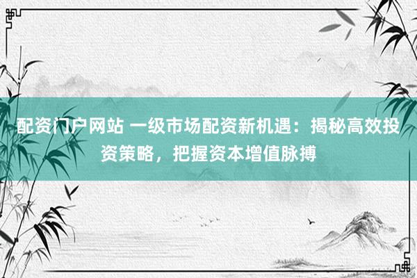 配资门户网站 一级市场配资新机遇：揭秘高效投资策略，把握资本增值脉搏