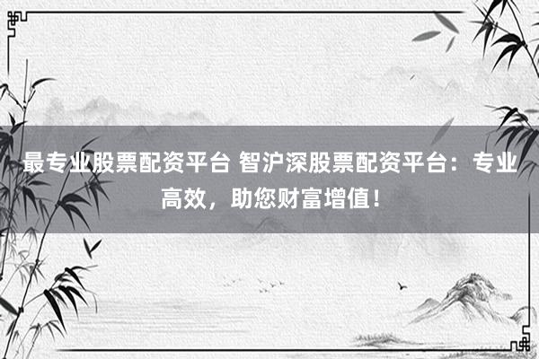最专业股票配资平台 智沪深股票配资平台：专业高效，助您财富增值！