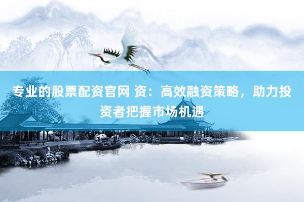专业的股票配资官网 资：高效融资策略，助力投资者把握市场机遇
