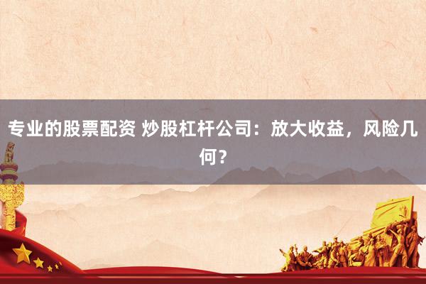 专业的股票配资 炒股杠杆公司:放大收益,风险几何?
