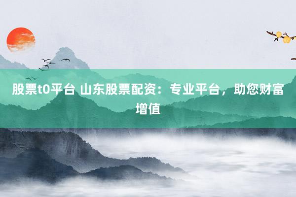 股票t0平台 山东股票配资：专业平台，助您财富增值