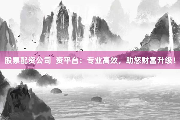 股票配资公司 资平台:专业高效,助您财富升级!
