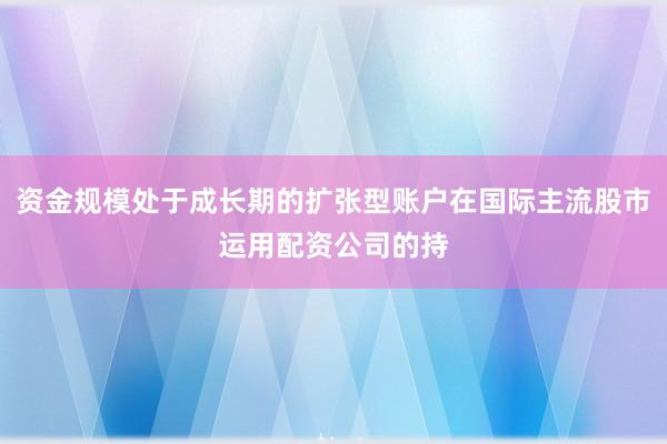 资金规模处于成长期的扩张型账户在国际主流股市运用配资公司的持